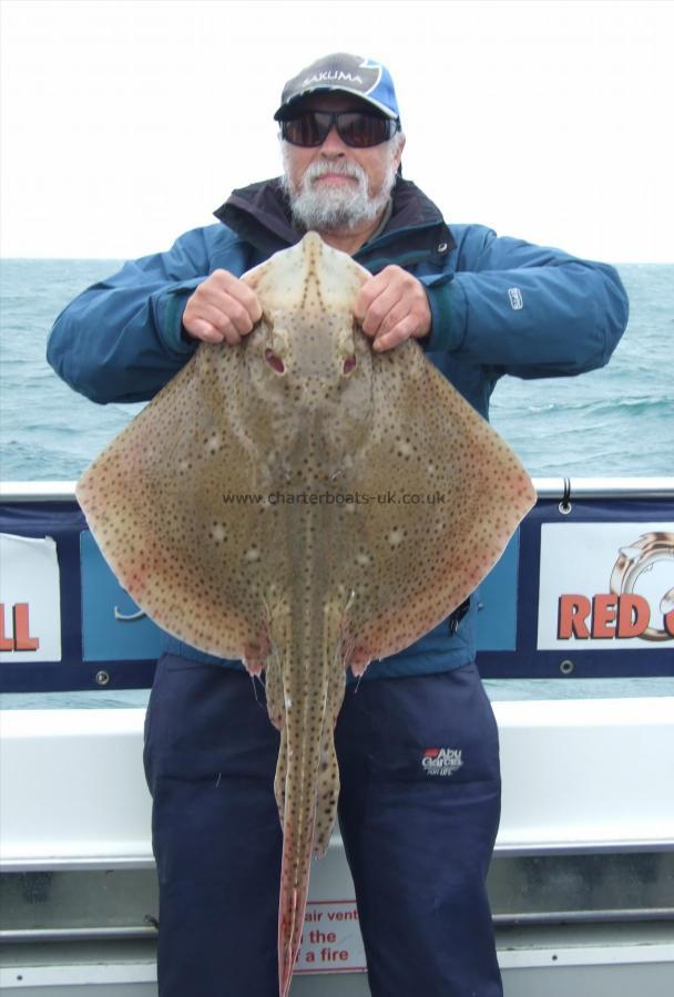 12 lb Blonde Ray by Ian Youngs