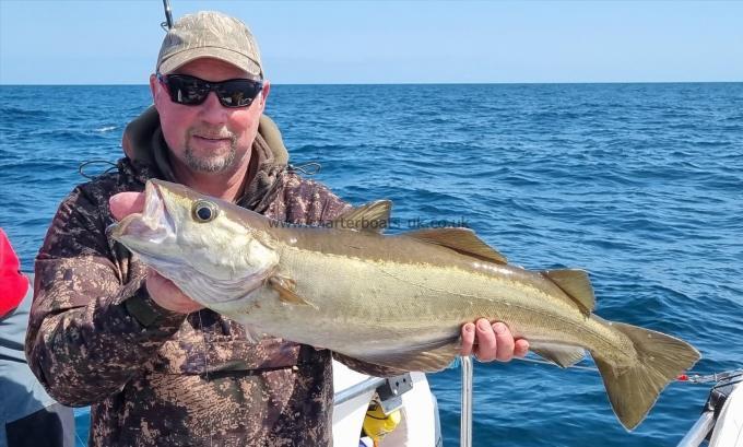 8 lb 13 oz Pollock by Chris