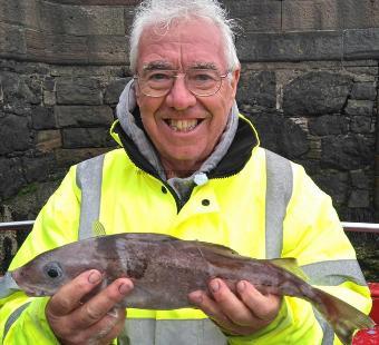 3 lb Haddock by vaughan