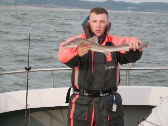 5 lb Starry Smooth-hound by John Bowers