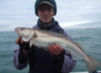 3 lb 8 oz Whiting by Peter Collings