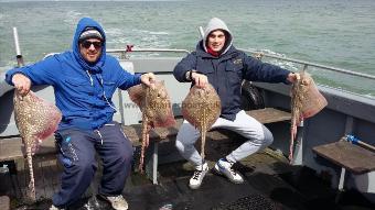 8 lb Thornback Ray by individual day