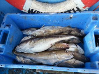 5 lb 1 oz Cod by Neil and Dads box