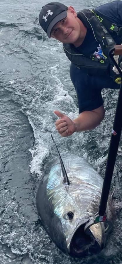 300 lb Bluefin Tuna by Jack Hodge