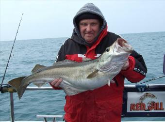 15 lb 8 oz Pollock by Ian Nah