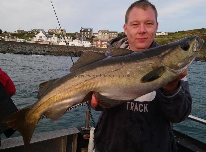 8 lb Pollock by john