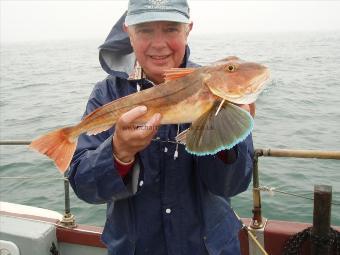 3 lb 2 oz Tub Gurnard by Don Weaver