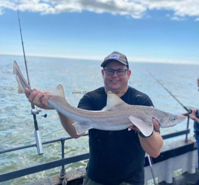 7 lb Smooth-hound by Unknown