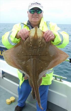 20 lb Blonde Ray by David Gibson