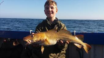 5 lb Cod by Unknown