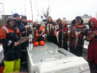 3 lb Cod by Barrys Team,Panky and Eddy