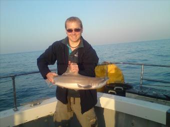 11 lb 9 oz Smooth-hound (Common) by Unknown