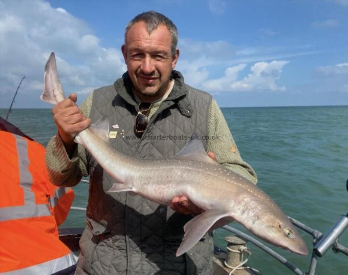 7 lb Smooth-hound (Common) by Unknown