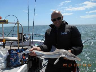 5 lb Starry Smooth-hound by Brian