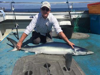 76 lb Blue Shark by Kevin McKie