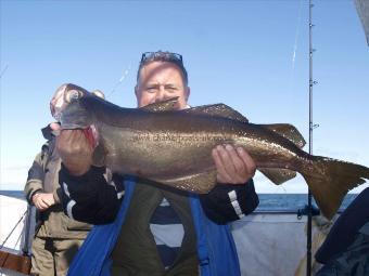 11 lb 6 oz Pollock by Unknown