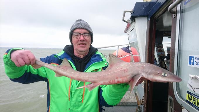 4 lb 3 oz Smooth-hound by Brian from Scotland,