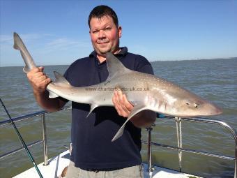 10 lb 3 oz Starry Smooth-hound by Delboy