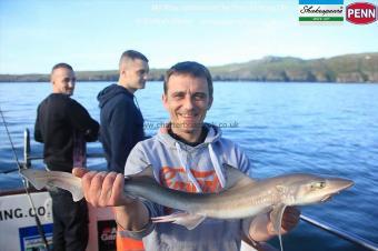 5 lb Starry Smooth-hound by Dave