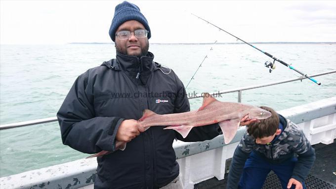 4 lb 3 oz Smooth-hound (Common) by Mark from London