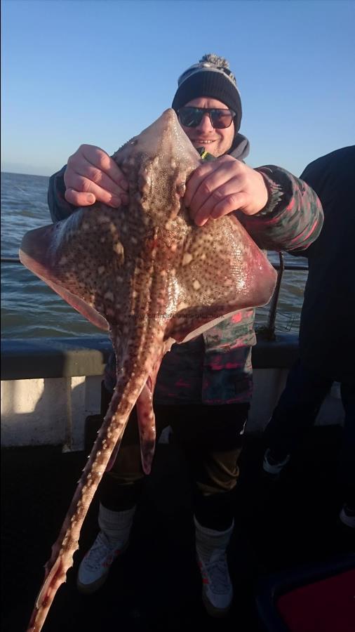 7 lb 6 oz Thornback Ray by Tom from Canterbury