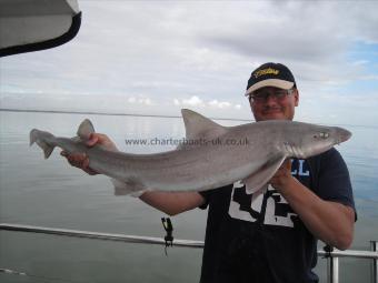 14 lb 8 oz Smooth-hound (Common) by Mark
