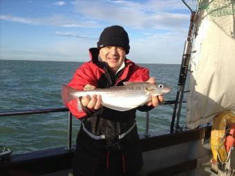 2 lb Whiting by Sav`s Bruv
