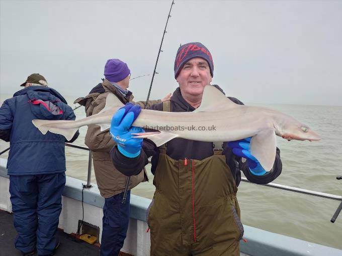 5 lb Starry Smooth-hound by Gary