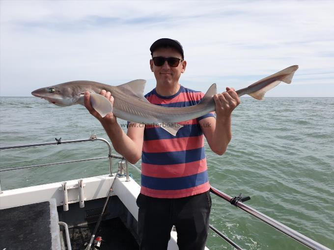 9 lb 8 oz Smooth-hound by Bob Marshall