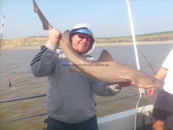 15 lb 4 oz Smooth-hound by ben davies