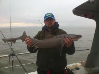 12 lb Starry Smooth-hound by justin owen