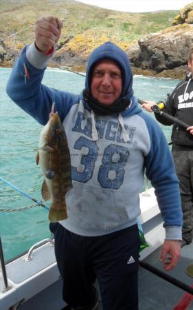3 lb Ballan Wrasse by Andy Truelove