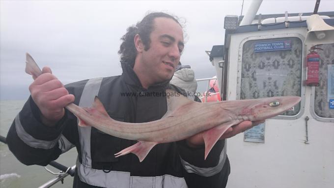 4 lb 2 oz Smooth-hound by Steph from Bulgaria