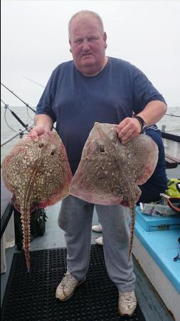 7 lb 7 oz Thornback Ray by chops from London