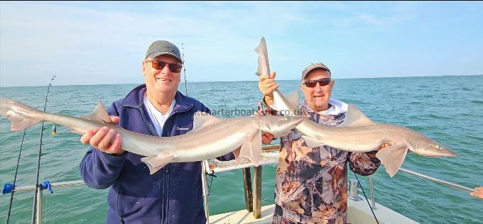 9 lb Starry Smooth-hound by Steve