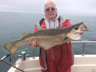 11 lb 10 oz Pollock by Roy Shipway