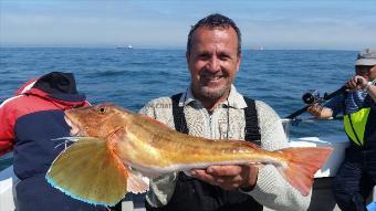 4 lb 1 oz Tub Gurnard by ozzys mate