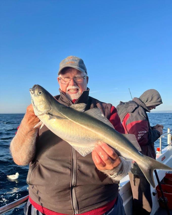 4 lb 4 oz Coalfish (Coley/Saithe) by Ian Kellock