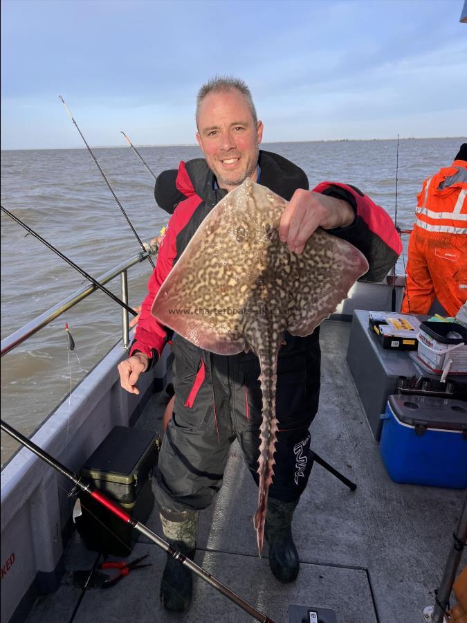 7 lb Thornback Ray by Unknown