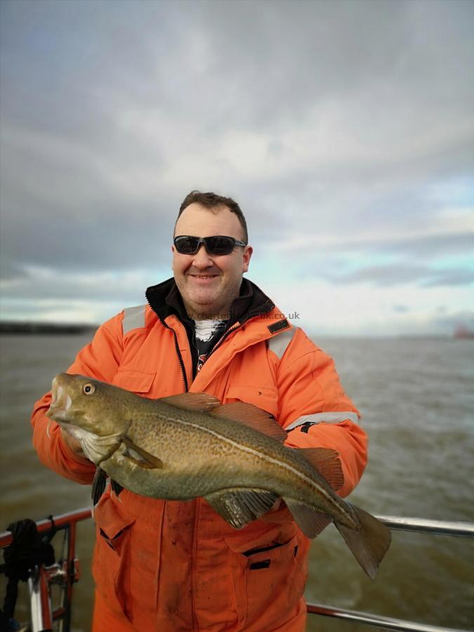 6 lb 2 oz Cod by Unknown