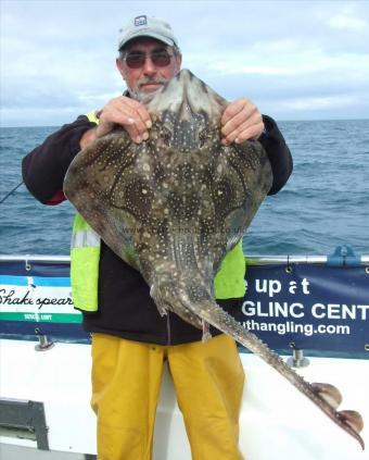 14 lb Undulate Ray by Kevin Clark