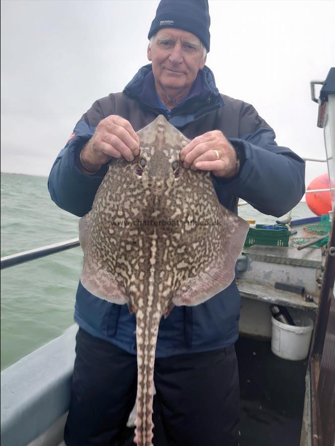 7 lb 5 oz Thornback Ray by Roger From Kent