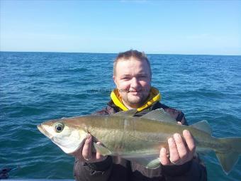 7 lb Pollock by Peter Kwasniewski