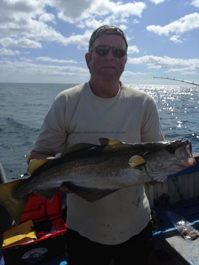 7 lb 8 oz Pollock by Unknown