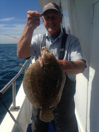 4 lb Brill by John