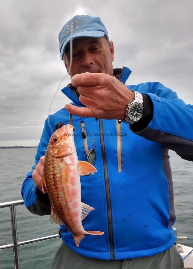 1 lb 6 oz Red Mullet by Peter