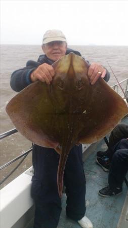 14 lb 4 oz Blonde Ray by bernie russ