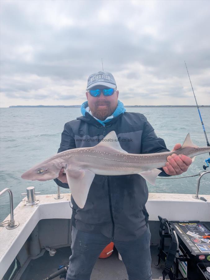 6 lb Smooth-hound by Wayne