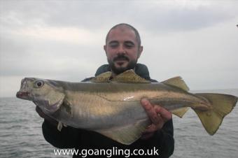 5 lb Pollock by Jeff