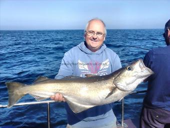 17 lb 8 oz Pollock by Steve